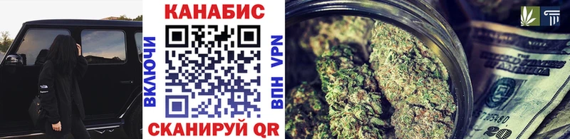 Шишки марихуана план  где купить наркоту  darknet наркотические препараты  Моздок 
